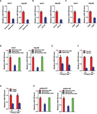 miR-186 Inhibits Liver Cancer Stem Cells Expansion via Targeting PTPN11